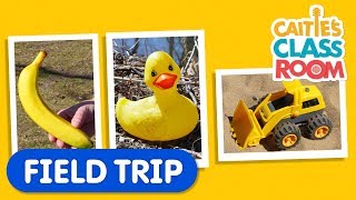 Go On A Color Hunt With Caitie  Caities Classroom Field Trip  Learning Colors Video for Kids [upl. by Rawdin617]