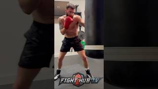 Caleb Plant BACK IN THE GYM LOCKED IN [upl. by Arytas]