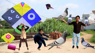 Kite Flying amp New 8 Kabooter Buy Nasir  Kite [upl. by Atinrehs]