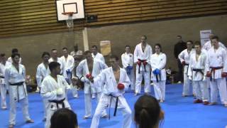 Junior Le Fevre  sport kumite drill 3  ashi barai [upl. by Ynad]