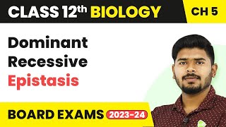 Dominant Recessive Epistasis  Principles of Inheritance amp Variation  Class 12 Bio Ch 5 NCERTNEET [upl. by Aciamaj]