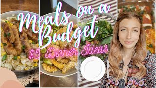 5 DINNERS BUDGET FRIENDLY FAMILY MEALS [upl. by Lorou]