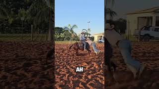 Voladores de Papantla 🤠🐴 ranchlife tradicion viral [upl. by Heilner]