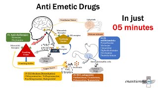 Pharmacology of Emesis Anti emetic Drugs Part  2 [upl. by Melisent]