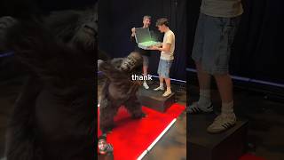 Mr Beast Animal challenge animals funny canyouspotit challenge wildlife ad mrbeast [upl. by Ykcub]