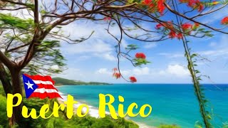 Puerto Rico Floating Paradise NOT Garbage [upl. by Llenwahs]