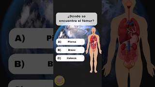 TEST DEL CUERPO HUMANO📚🌌😎👅👁️ quiz medicina cuerpohumano biologia culturageneral quizchallenge [upl. by Celka]