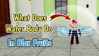 What Does Water Body Do In Blox Fruits  Roblox Blox Fruits Water Body Guide [upl. by Nirred539]