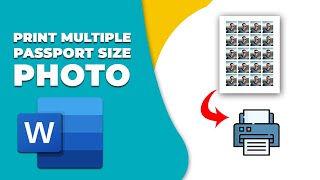 How to print multiple passport size photos on one page in word [upl. by Melvin]