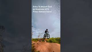 Leave the roundabout at Brookvale drop into Mussel Sock mtb pei mountainbike specialized trek [upl. by Stubbs]