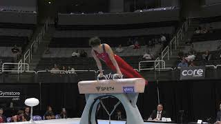 Xander Hong  Pommel Horse  2023 Xfinity US Championships  Junior Men Day 2 [upl. by Dodi]