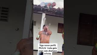 Siga nosso perfil PILILIU trola galo cego com shampoo infinito [upl. by Sale364]