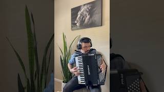 Nickelback amp Santana  Into the Night accordion solo [upl. by Iralam]