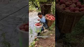 This farmer crosses the river by swinging on a rope shortvideo [upl. by Hairim]