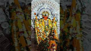 Maa kamarupabirapratap purpurikali Puja 🙏🙏❤️🪔 [upl. by Naujud]