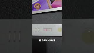 TTC 1  13 DPO Night  Pregnancy test  Faint line  21 Sept 2024  Baby Bump ttcjourney [upl. by Bower806]