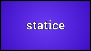 Statice Meaning [upl. by Razaile]