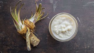 How to Make Prepared Horseradish From Roots [upl. by Fadil]