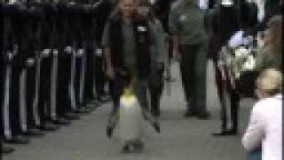 Penguin given knighthood by King of Norway [upl. by Noraj]