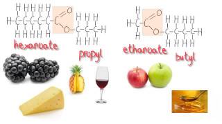 Esters 5 Found in fruit Structures and systematic names [upl. by Atiek]