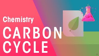 What Is The Carbon Cycle  Part 1 Environmental Chemistry  Chemistry  FuseSchool [upl. by Kee]