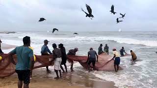 negombo Beach [upl. by Cyma]