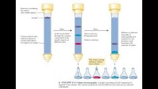 COLUMN CHROMATOGRAPHY [upl. by Gisser839]