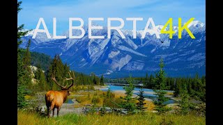 Beauty of Alberta Cinematic 4K World in 4K [upl. by Schroth]