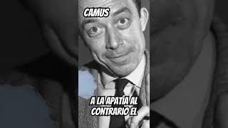 Absurdismo de Albert Camus filosofia absurdo filosofo filosofando [upl. by Anawad]