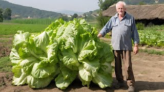 Kad OVO sipam u zemlju jesenska salata eksplodira od rasta [upl. by Filemon]