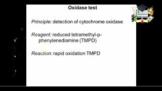 Oxidase test Handson lab [upl. by Rramahs]