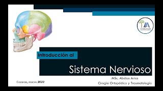 Introducción al Sistema Nervioso Mar 23 [upl. by Dewitt]