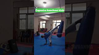 capoeira knockout kick martialarts capoeiramoves kicks shortfeed kickboxing mmaknockouts [upl. by Mazur]