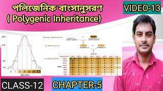 Polygenic Inheritance Multigenic inheritanceQuantitative inheritance in Bengaliclass 12 Biology [upl. by Marlena]