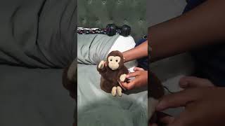 monke dont know how to say purple burglar alarm vr funny memes monkememe monking gorillatag [upl. by Raynold]