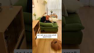 Amazing Foldable Sofa SpaceSaving Comfort for Small Apartments shortsviral [upl. by Geller607]