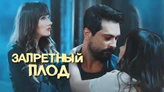 zeyal Зейнеп и АлиханКак ты там💔 yasakelma [upl. by Kandy355]