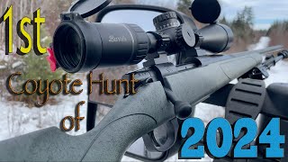 1st Coyote Hunt of 2024 [upl. by Analos]