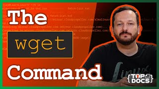 The wget Command  How to Download Files From a Server [upl. by Terti]