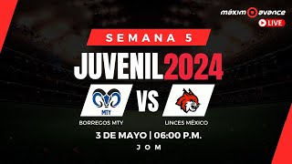 MÁXIMO AVANCE EN VIVO BORREGOS MTY vs LINCES MÉXICO  JUVENIL 2024  SEMANA 5  ONEFA [upl. by Newberry]