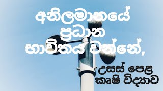 අනිලමානයේ ප්‍රධාන භාවිතය වන්නේ ALAgriculturalScience [upl. by Harriman]