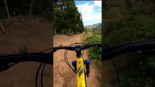 Flow line Acequias Light angol mtb downhill [upl. by Fleck663]