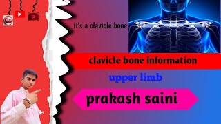 clavicle bone information 100ksubscribe 😲 [upl. by Lowe235]