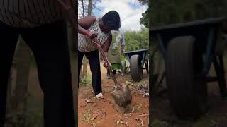 Planting an Erythrina Burttii Tree in Maanzoni 🌳  Nyambura Ngigi’s Journey  mmtreechallenge [upl. by Granville867]