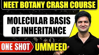 MOLECULAR BASIS OF INHERITANCE in 1 Shot  All Concepts Tricks amp PYQs  NEET Crash Course [upl. by Ahseetal]