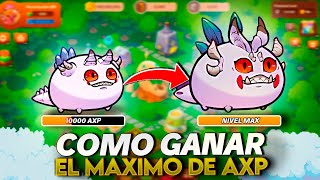 GUÍA DEFINITVA para GANAR la MÁXIMA EXPERIENCIA en tus AXIES  Axie Infinity Homeland 2024 [upl. by Katie]