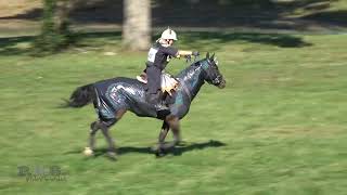 Beatrice Travis amp Beahives Tangled Hagyard TeamChallenge 2024 [upl. by Lardner]