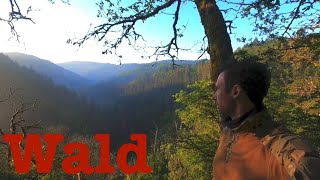 Biwak im Wald I Feuer I Rehkeule I Naturshelter I Kaffee I Atmosphäre am Morgen I Natur [upl. by Hardej]