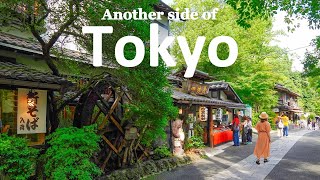 Day Trip to Rural Tokyo 40 Minutes from Shinjuku  Chofu amp Hachioji  JAPAN TRAVEL VLOG [upl. by Ahoufe]