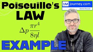 Poiseuilles Law Example [upl. by Hnilym]